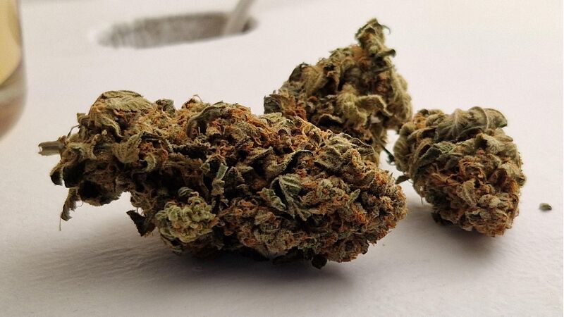 Gelato #45, Фасовка: 3, изображение 4