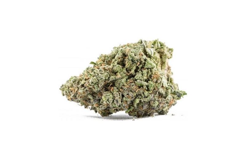 Sensi Star (X), Фасовка: 5, изображение 2