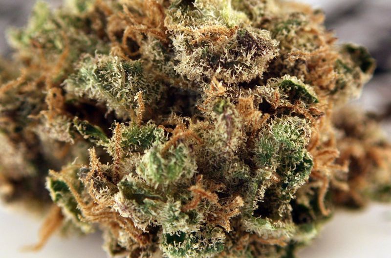 Blueberry (X), Фасовка: 5, изображение 3