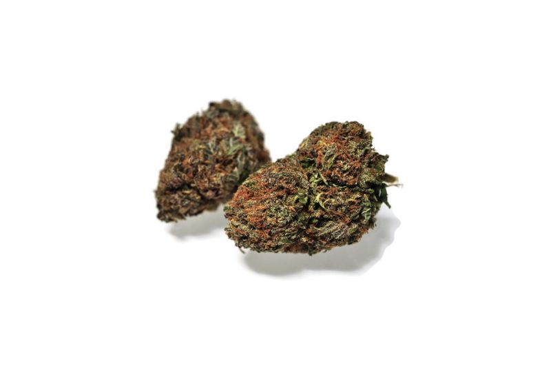 Black Domina, Фасовка: 10+5