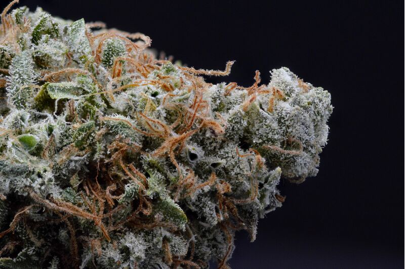 Shiskaberry, Фасовка: 5, изображение 2