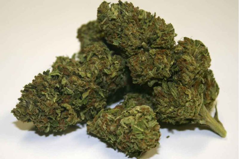 Master Kush Auto, Фасовка: 3