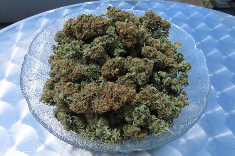 G13 Haze, Фасовка: 5, изображение 4