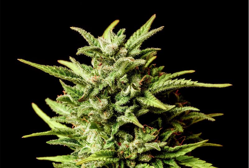 Brake-up Cake Auto, Фасовка: 3, изображение 3