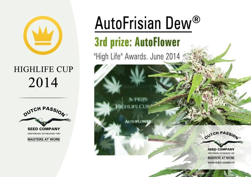 Frisian Dew Auto, Фасовка: 3, изображение 6