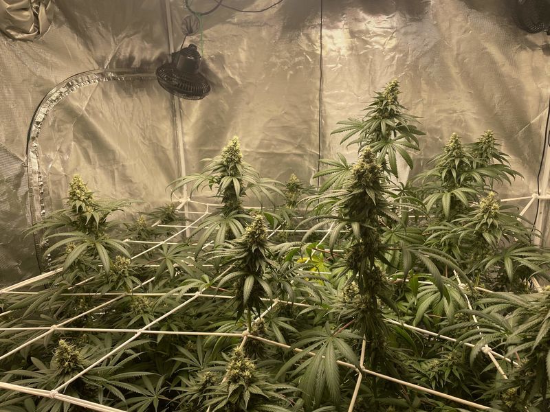 Fullgas!, Фасовка: 3, изображение 2