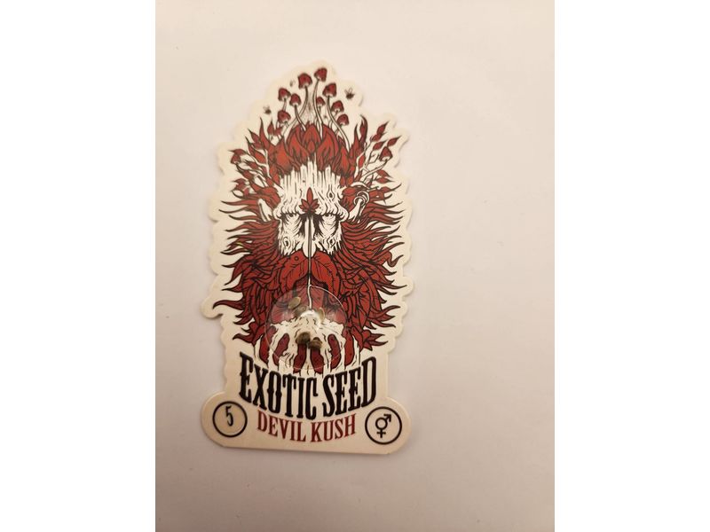 Devil Kush Reg Exotic, Фасовка: 5