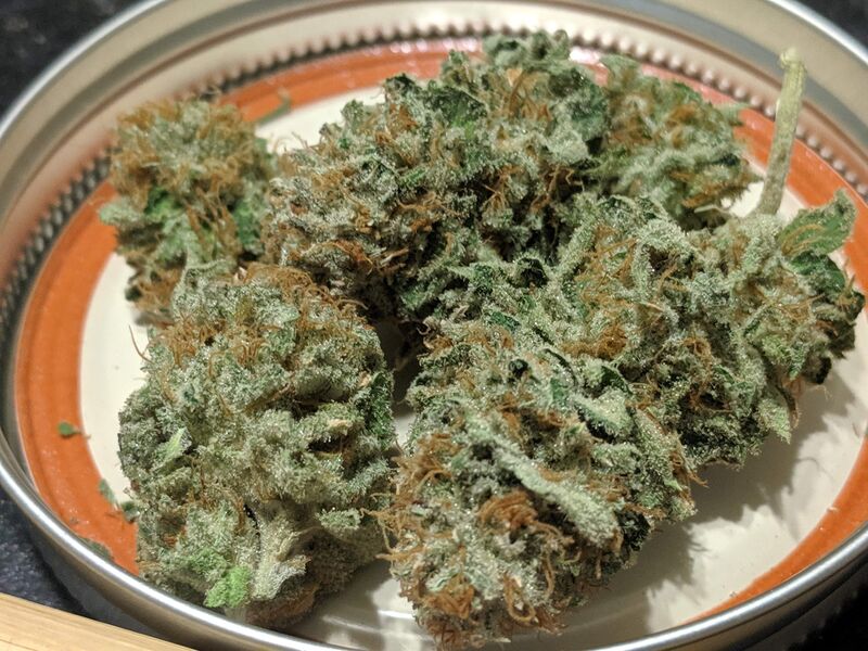 Red Cherry Berry fem, Фасовка: 5, изображение 2