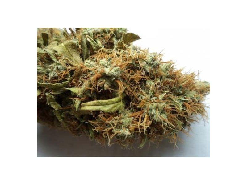 Ortega Indica, Фасовка: 3, изображение 3