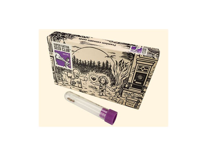 AK Triple Haze Auto, Фасовка: 3, изображение 3