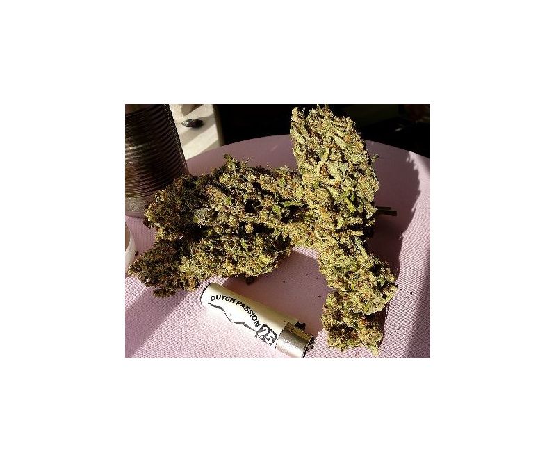 Outlaw Amnesia, Фасовка: 3, изображение 5