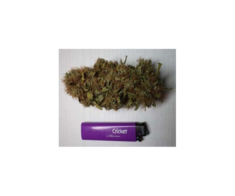 Ortega Indica, Фасовка: 3, изображение 2