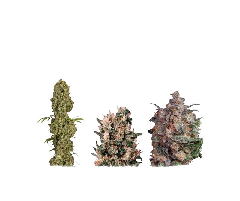 Colour Mix №5, Фасовка: 6