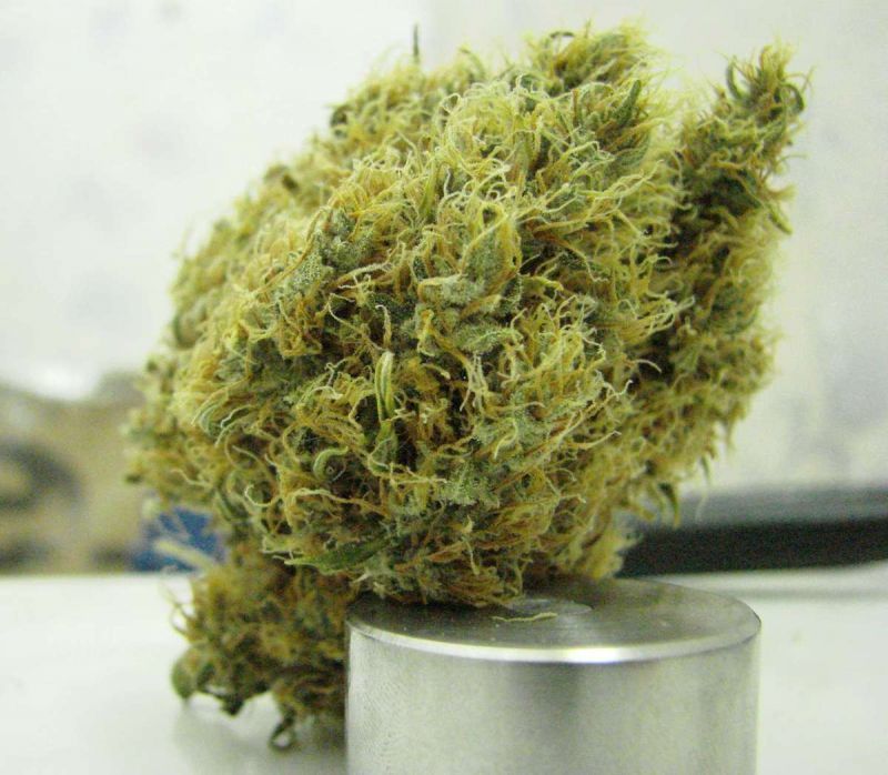 White Rhino, Фасовка: 3, изображение 3