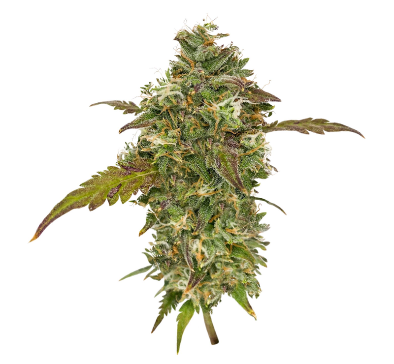 Candy House, Фасовка: 3