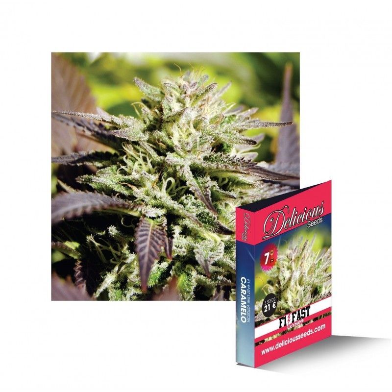 Caramelo Early Version, Фасовка: 1, изображение 2