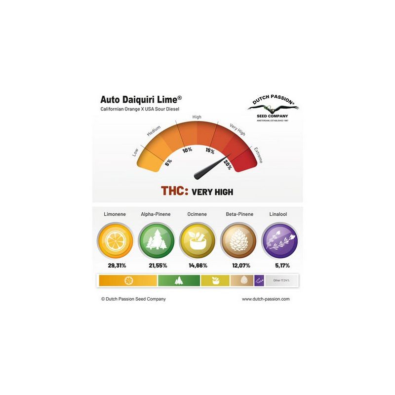 Daiquiri Lime Auto, Фасовка: 1, изображение 4