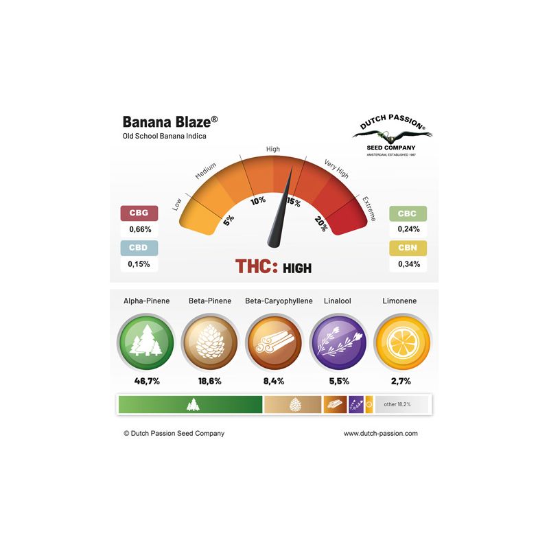 Banana Blaze, Фасовка: 3, изображение 6