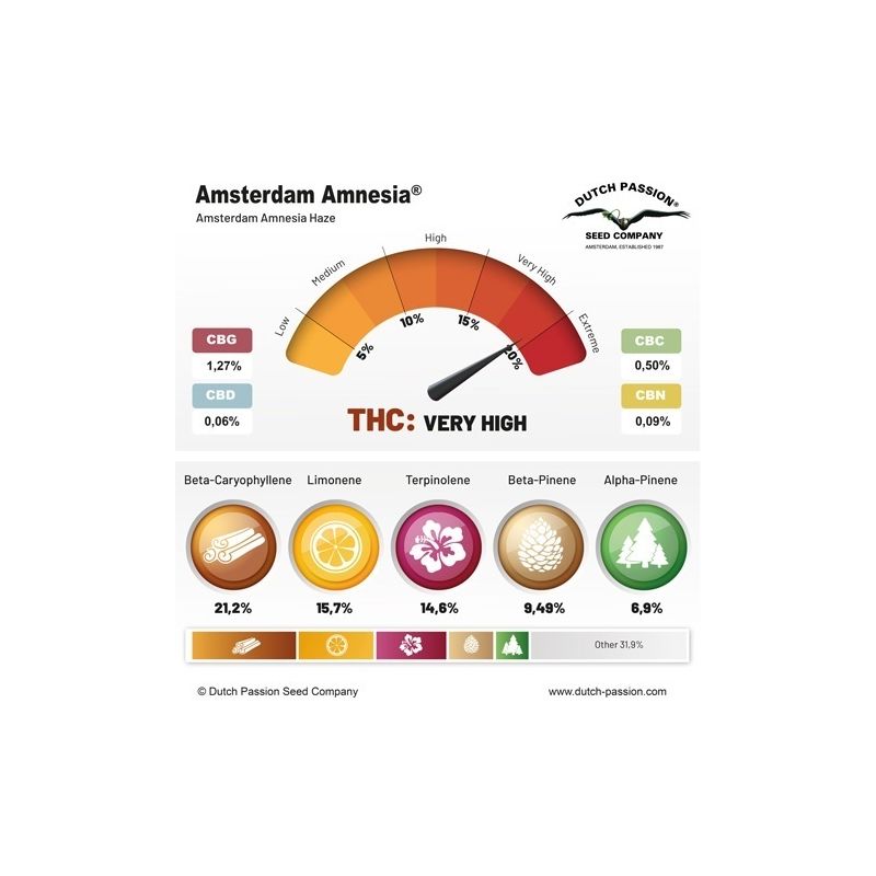 Amsterdam Amnesia, Фасовка: 5, изображение 4