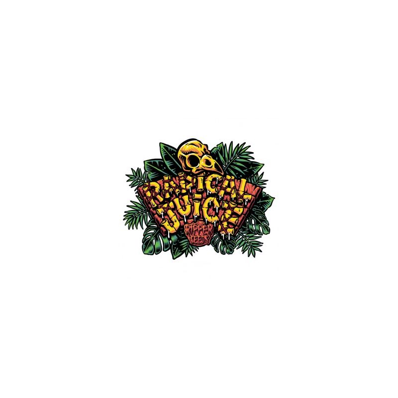 Radical Juice Auto, Фасовка: 5, изображение 3