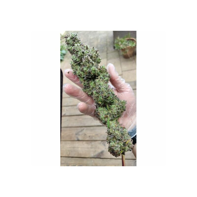 Holy Snow, Фасовка: 3, изображение 3