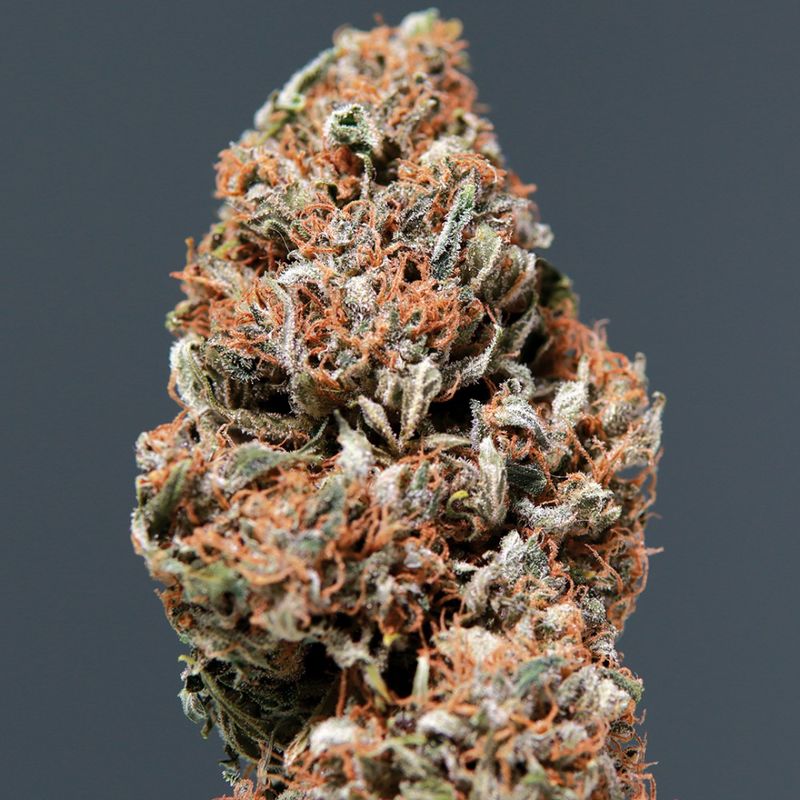 Medikit CBD Auto, Фасовка: 1, изображение 3