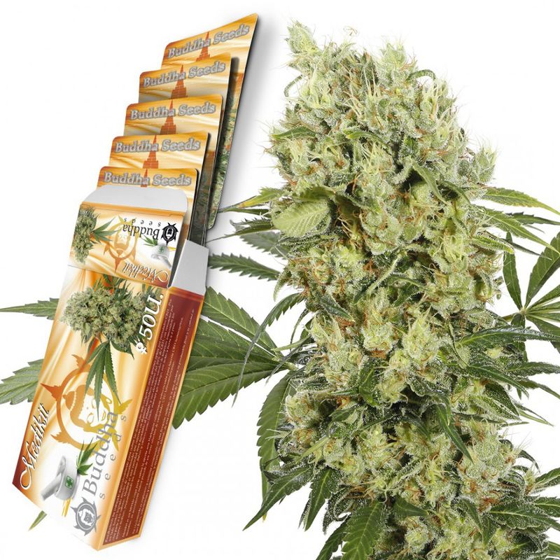 Medikit CBD Fem, Фасовка: 1, изображение 2