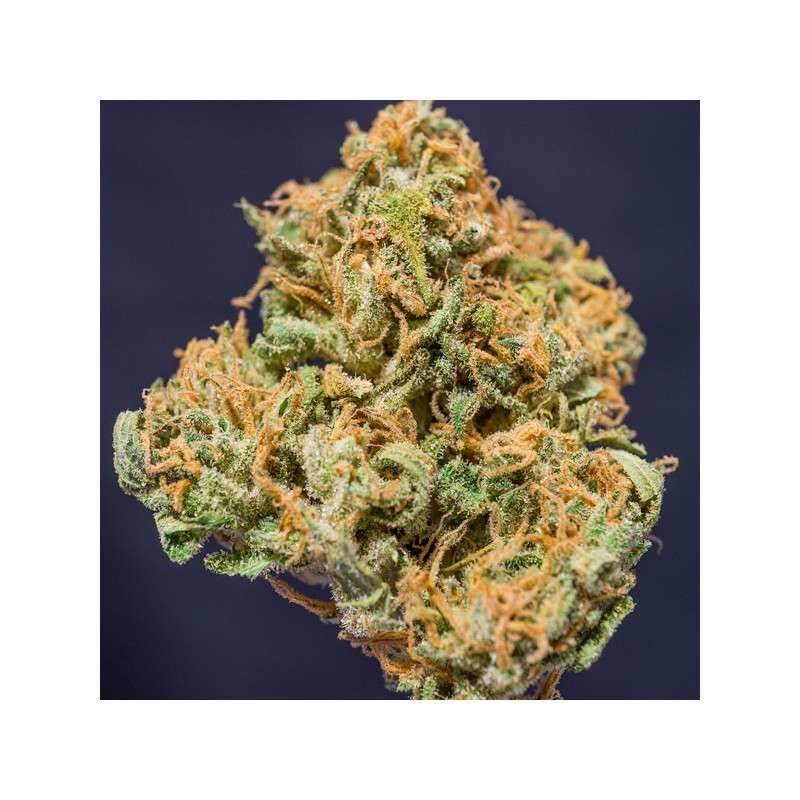 Creeper, Фасовка: 12, изображение 2