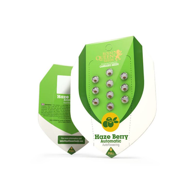 Haze Berry Auto, Фасовка: 25, изображение 2