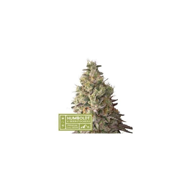 Mack&Crack Auto, Фасовка: 1