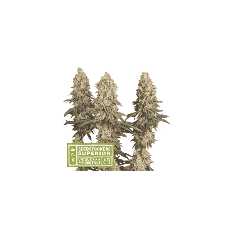 Mack&Crack, Фасовка: 3