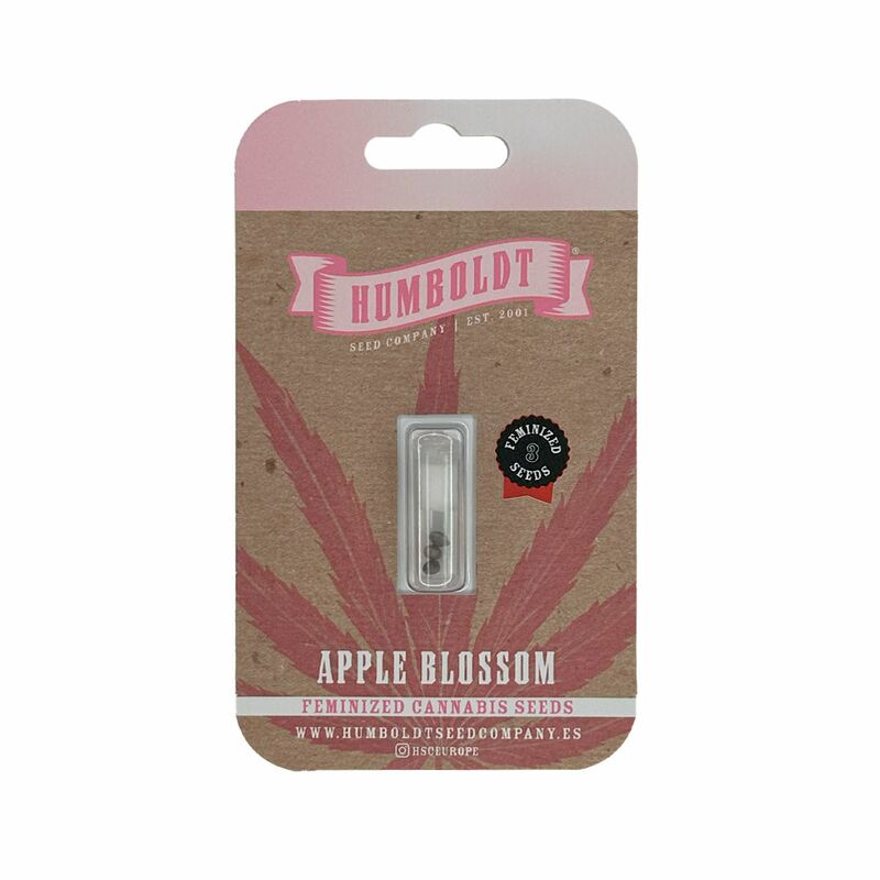 Apple Blossom, Фасовка: 3, изображение 2