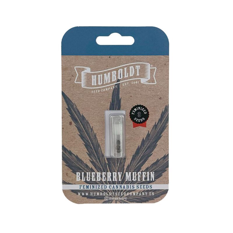 Blueberry Muffin, Фасовка: 3, изображение 2