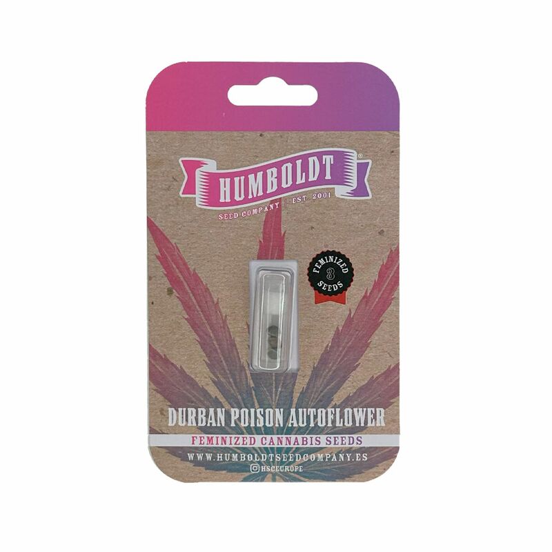 Durban Poison Auto, Фасовка: 3, изображение 3