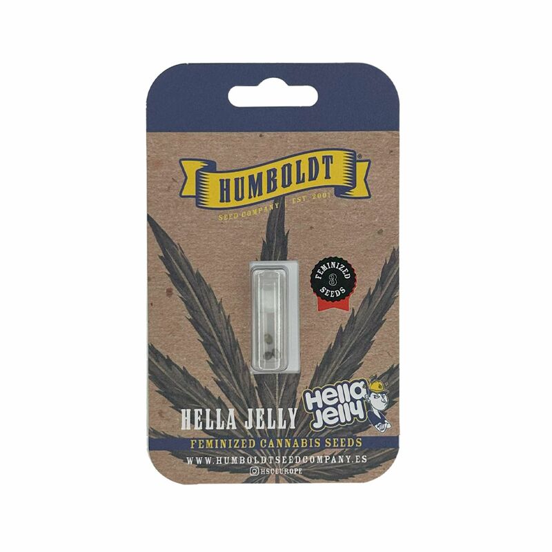 Hella Jelly, Фасовка: 3, изображение 2