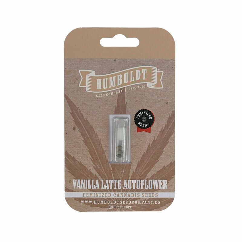 Vanilla Latte Auto, Фасовка: 3, изображение 2