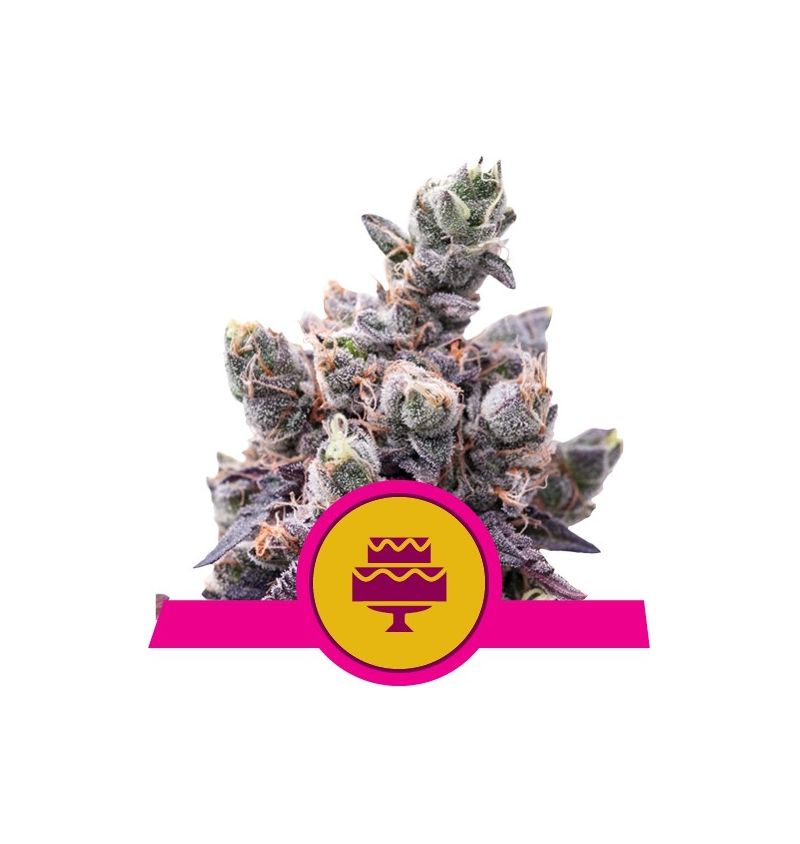 Wedding Gelato, Фасовка: 3