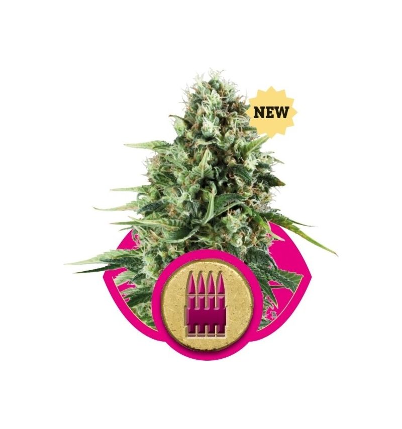 Royal AK, Фасовка: 3