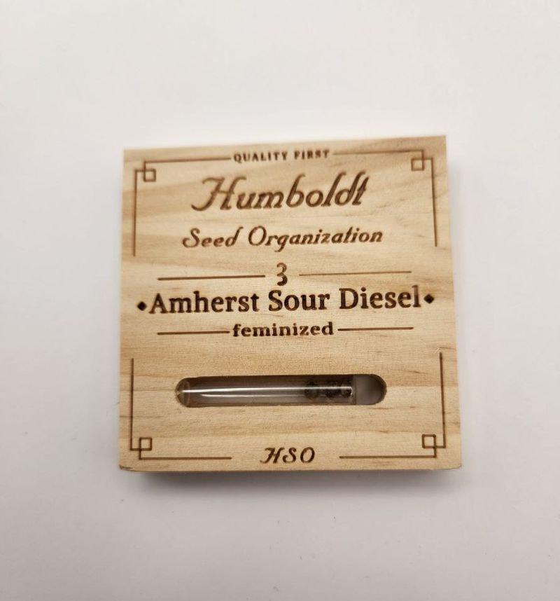 Amherst Sour Diesel Fem Humboldt, Фасовка: 3