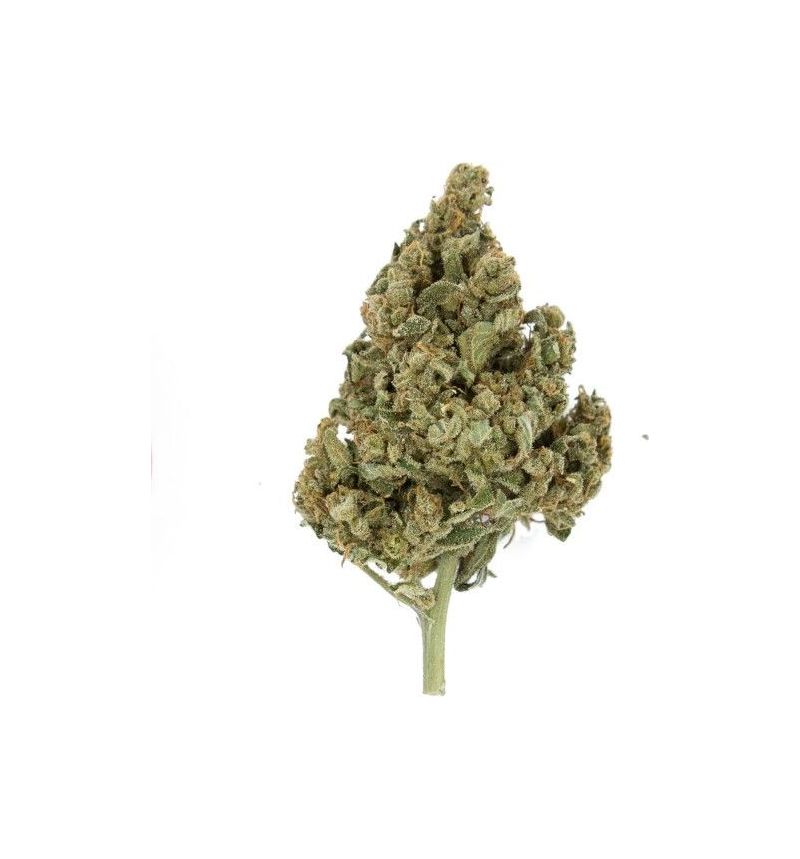 Lemon Shining Silver Haze, Фасовка: 1