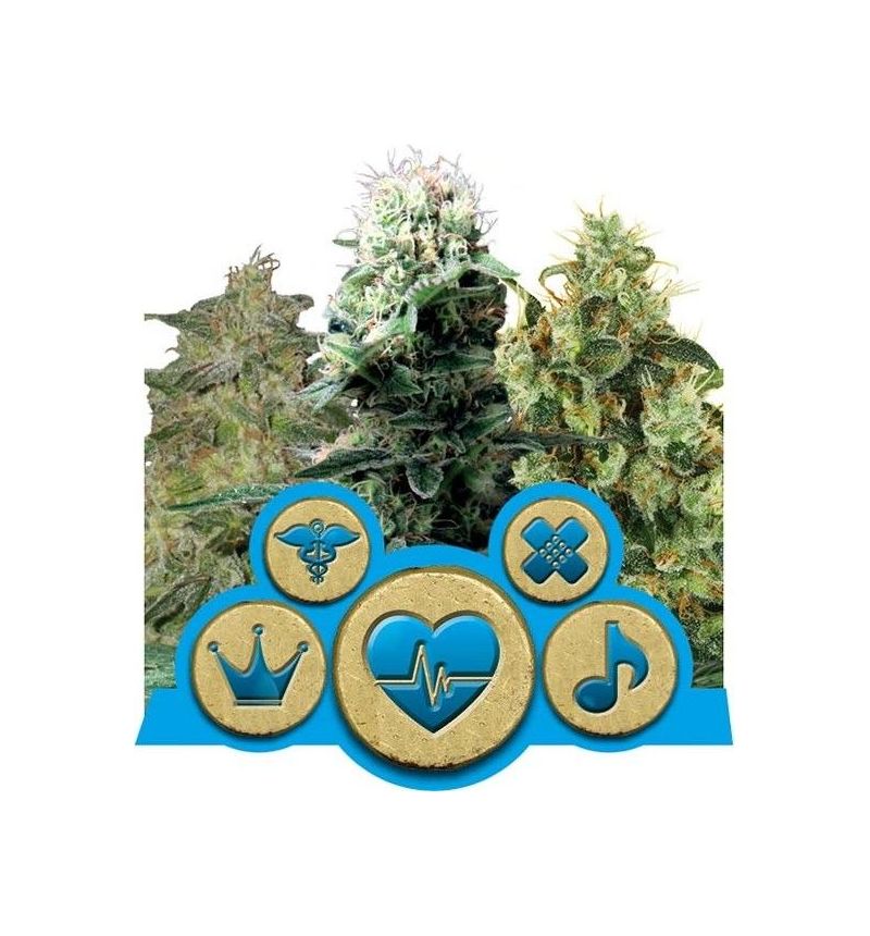 Medical MIX CBD, Фасовка: 5