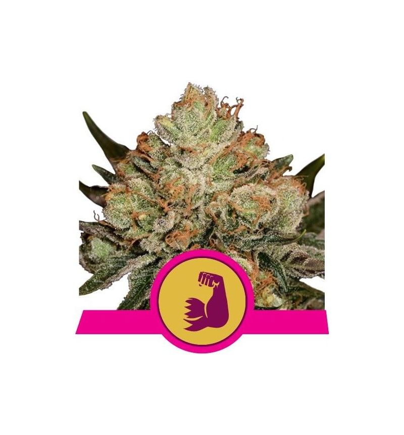 Hulkberry, Фасовка: 3