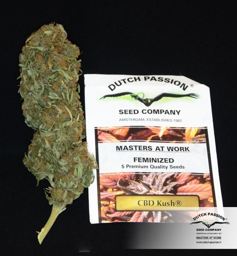 CBD Kush, Фасовка: 3, изображение 5