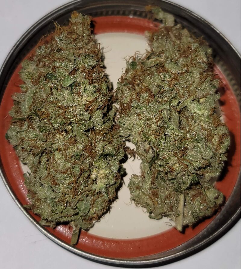 Glue Gelato Auto, Фасовка: 3, изображение 2