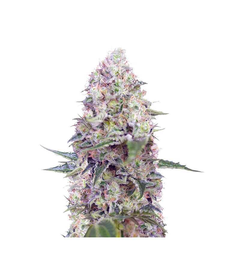 Crystal Candy, Фасовка: 3+1