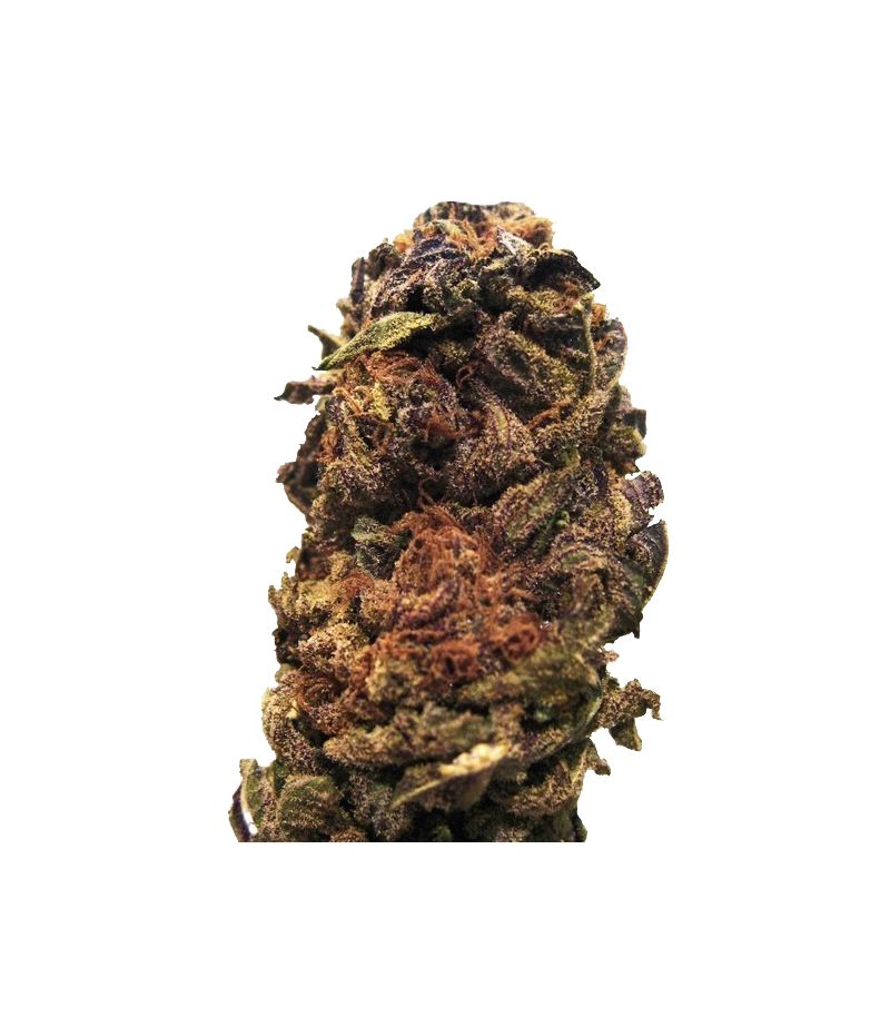 Orange Bud Reg, Фасовка: 10