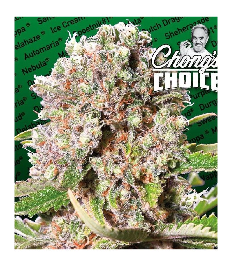 Mendocino Skunk, Фасовка: 3