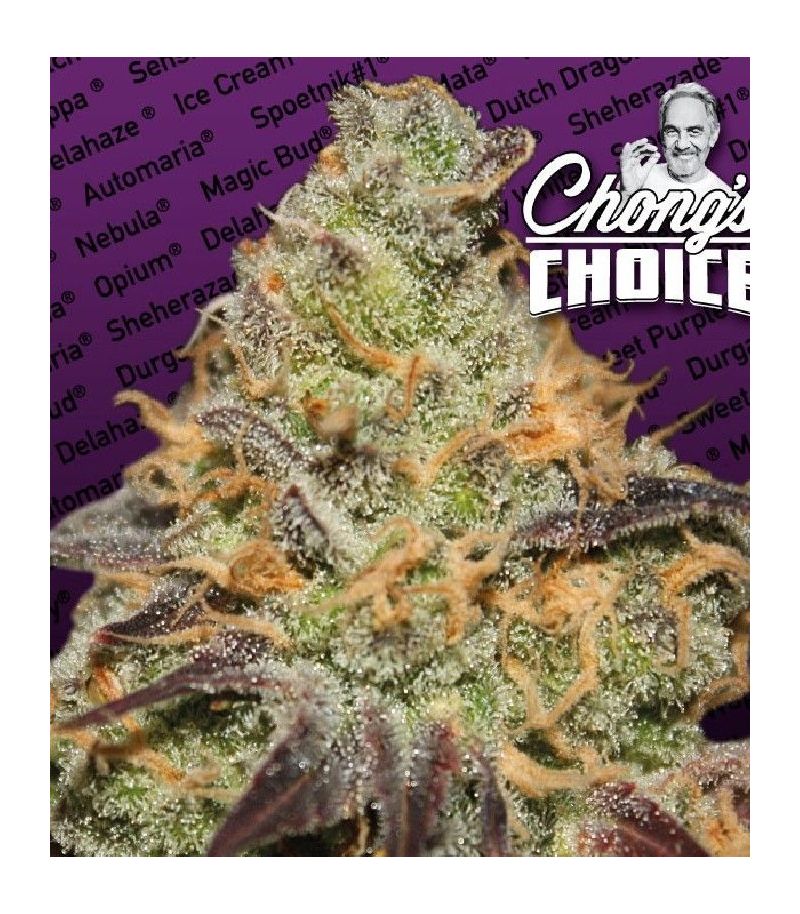 Blue Kush Berry, Фасовка: 1