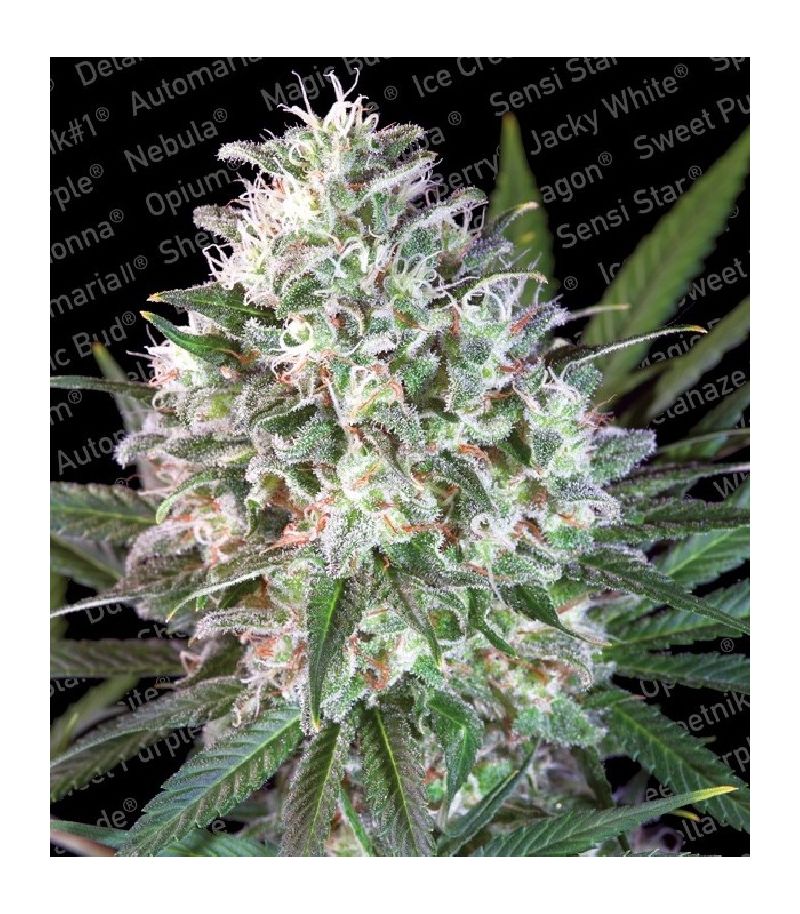 Space Cookies, Фасовка: 5