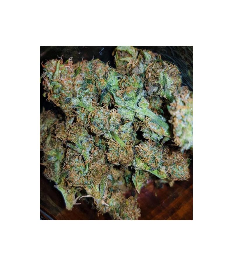 Auto Gorilla XL, Фасовка: 5, изображение 6